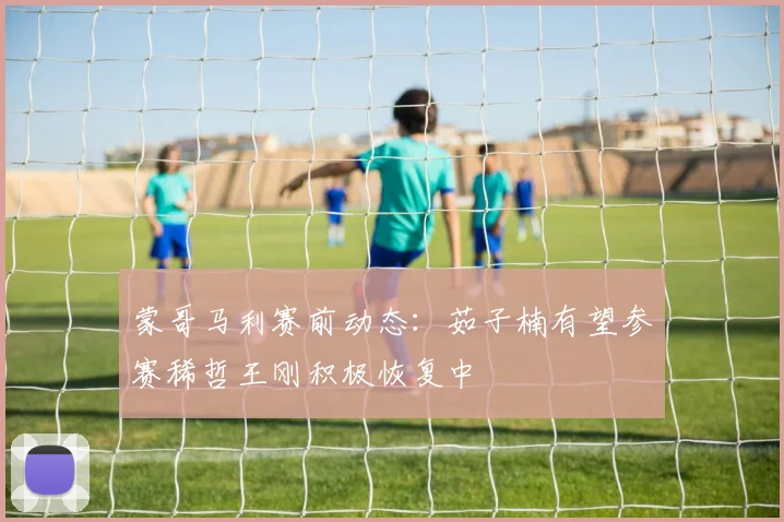 蒙哥马利赛前动态：茹子楠有望参赛稀哲王刚积极恢复中
